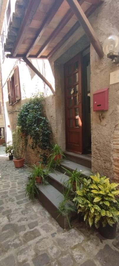 Il Vicoletto Villa Bolsena Exteriör bild